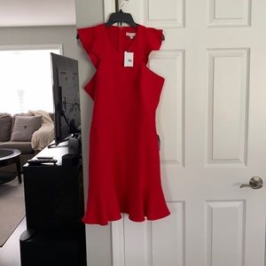 NWT dress. Sleeveless red cocktail dress
